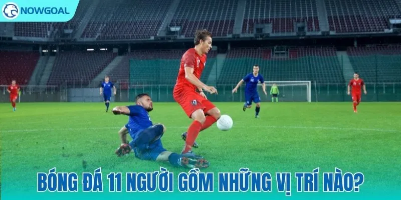 Bóng Đá 11 Người Gồm Những Vị Trí Nào? Danh Sách Và Nhiệm Vụ Từng Vị Trí