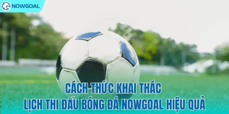 Cách lập kế hoạch theo dõi bóng đá khoa học