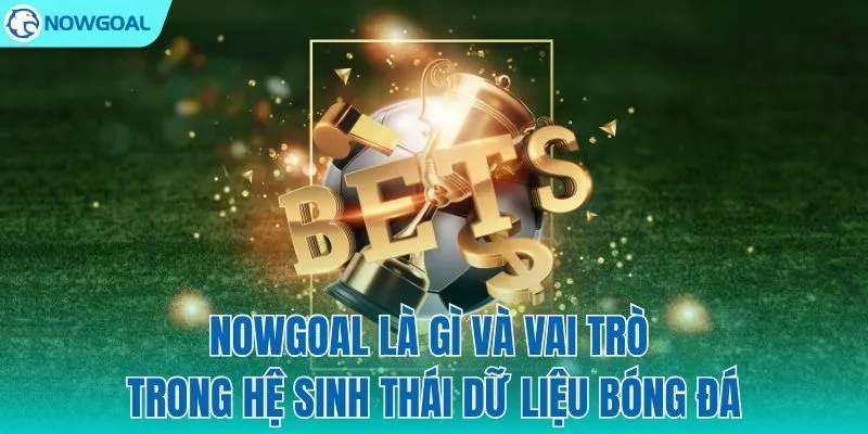 NOWGOAL – "Trái tim" của hệ sinh thái dữ liệu bóng đá