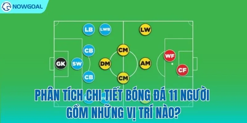Phân tích chi tiết nhiệm vụ từng vị trí