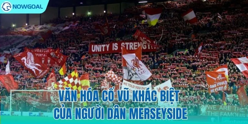 Văn hóa cổ vũ độc bản từ thành phố cảng