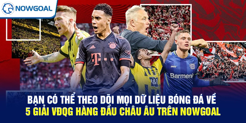 Bạn có thể theo dõi mọi dữ liệu bóng đá về 5 giải VĐQG hàng đầu châu Âu trên NOWGOAL